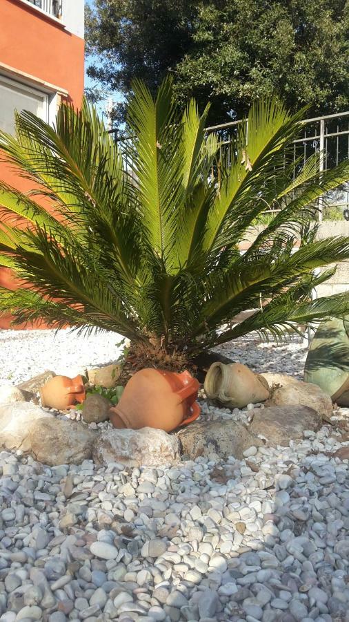 B&B La Mita Giuliano di Roma Dış mekan fotoğraf